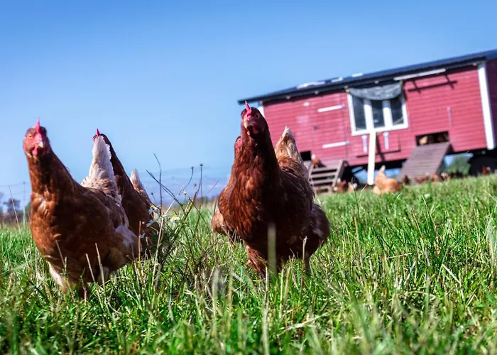 Osterhof - Casa Florale Fehmarn