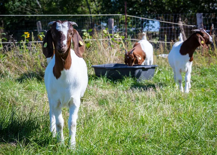 Osterhof - Casa Florale Apartamento Fehmarn